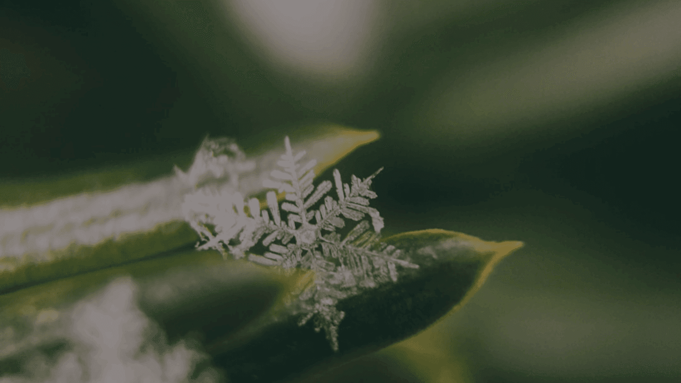 Design Handoff Automation Tools Compared